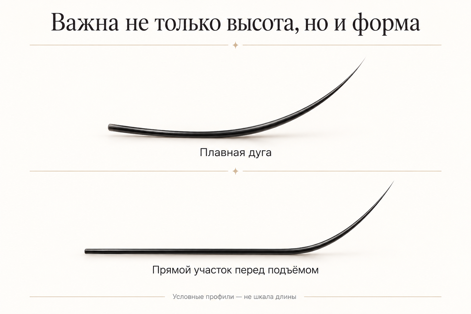 Плавная дуга и прямое основание перед подъёмом ресницы